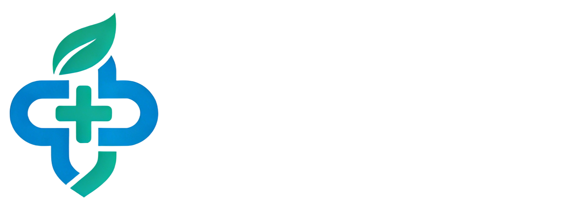 智传睿盛LOGO